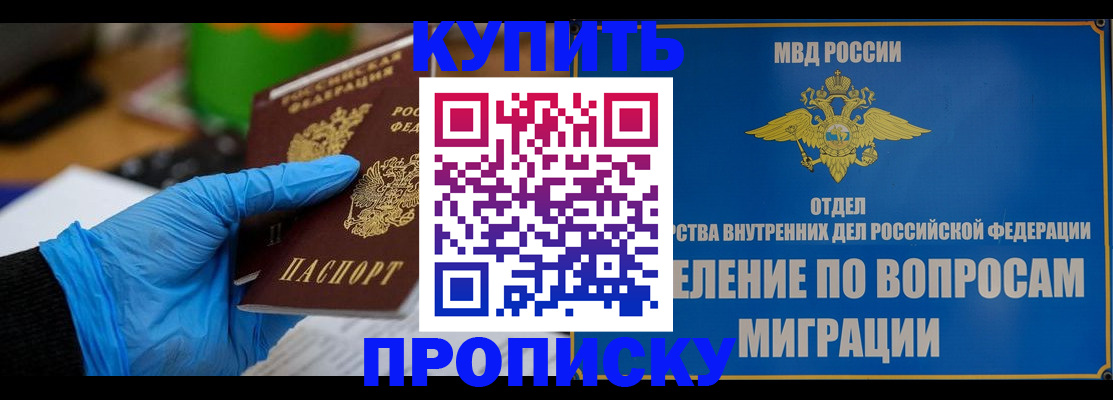 прописка паспорт в Новодвинске